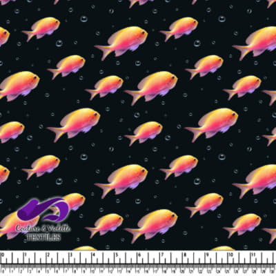 Poissons tropicaux colorés et bulles d'air