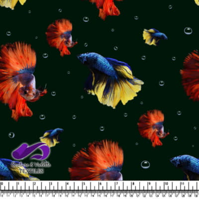 Motif Coloré de Poisson Combattant Siamois sur Fond Noir