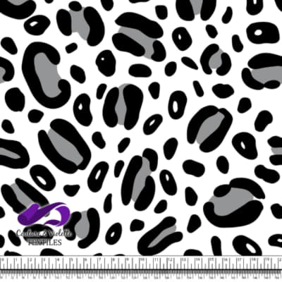 Animal texture - Cheetah in black and white