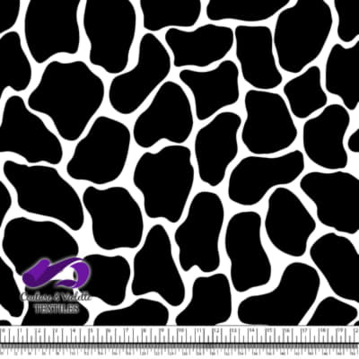 Animal texture - Giraffe in color Black and white