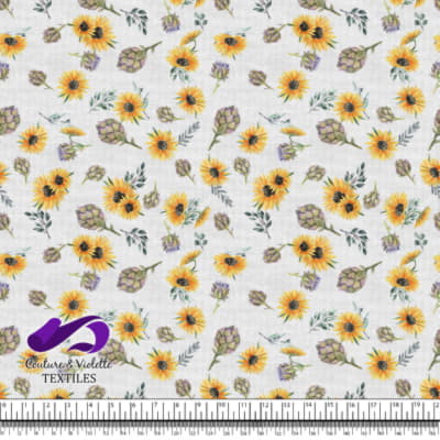 Artichaut et tournesol on background white