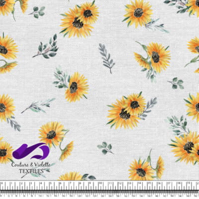 Sunflowers on white background