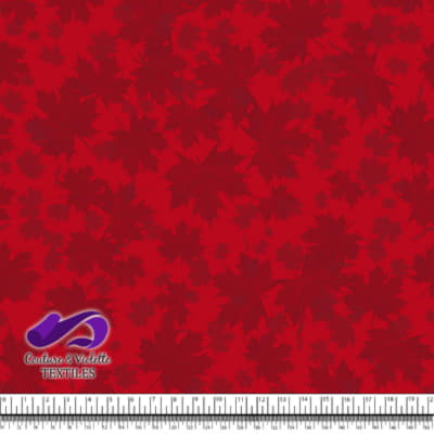 Canada 2022 - Mix leaf on light red