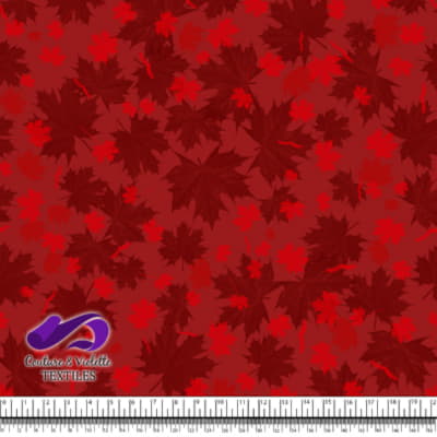Canada 2022 - Mix leaf on dark red