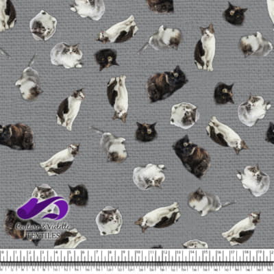 Cat  - Mademoiselle on ultimate gray texture