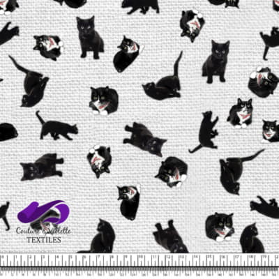 Black cat - White texture