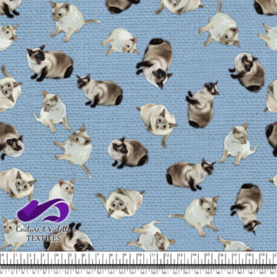 Siamese Cat - Clear sky blue