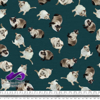 Siamese Cat - Deep teal