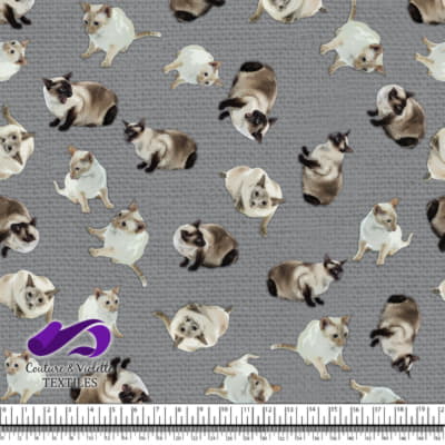 Siamese Cat - Ultimate gray