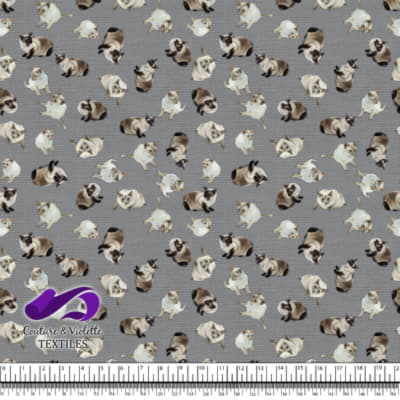 Siamese Cat - Ultimate gray