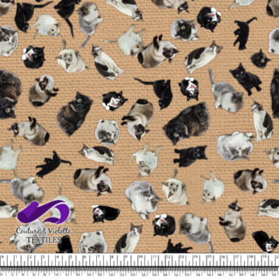Cat - Cattery on desert mist beige texture