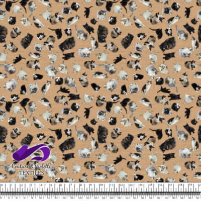 Cat - Cattery on desert mist beige texture