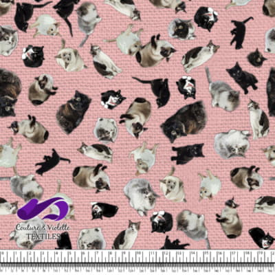 Cat - Cattery on first blush pink texture
