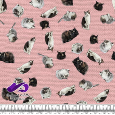 Cat  - Mademoiselle on first blush pink texture