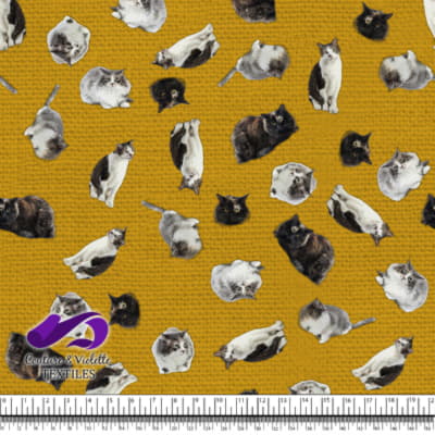 Cat  - Mademoiselle on golden yellow texture