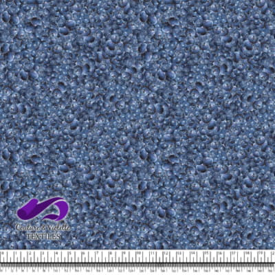 Petits Fruits - Blueberry