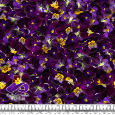 Violettes - King Henry