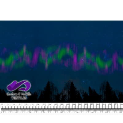 Night sky - Forest with aurora borealis Green