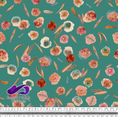 Monstera - Roses - Growth